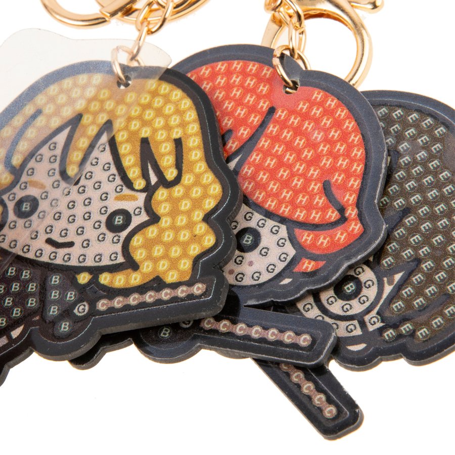 Flying Friends Harry Potter Crystal Art Keyring Kit